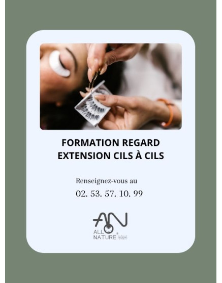 Formation extension de cils à cils