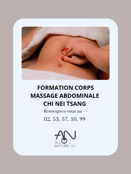 Formation Massage Abdominal Chi Nei Tsang