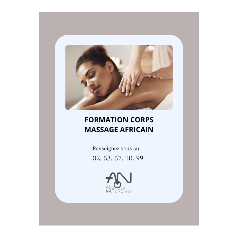 Formation modelage africain