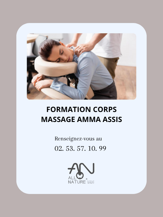 Formation Amma Assis