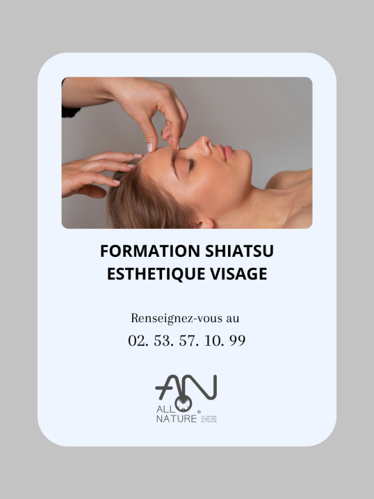Formation Shiatsu esthetique visage