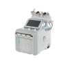 Appareil Hydra Technology Visage 6en1