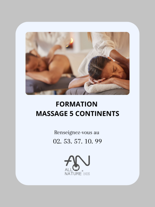 Formation massage 5 continents
