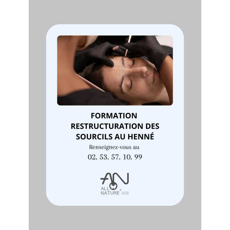 Formation Restructuration des sourcils au henné