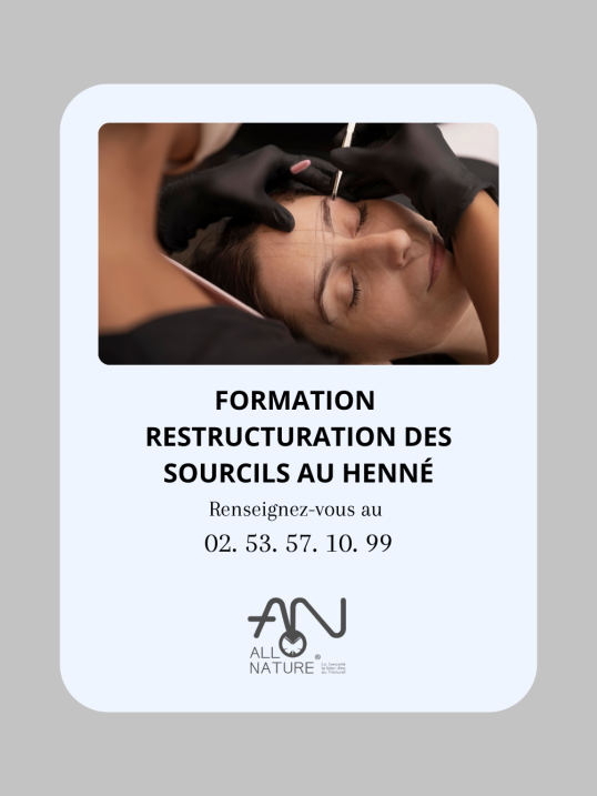 Formation Restructuration des sourcils au henné