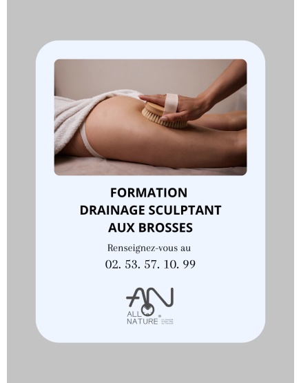 Formation Drainage sculptant aux brosses