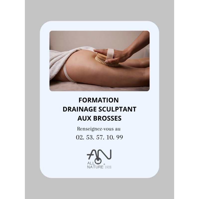 Formation Drainage sculptant aux brosses