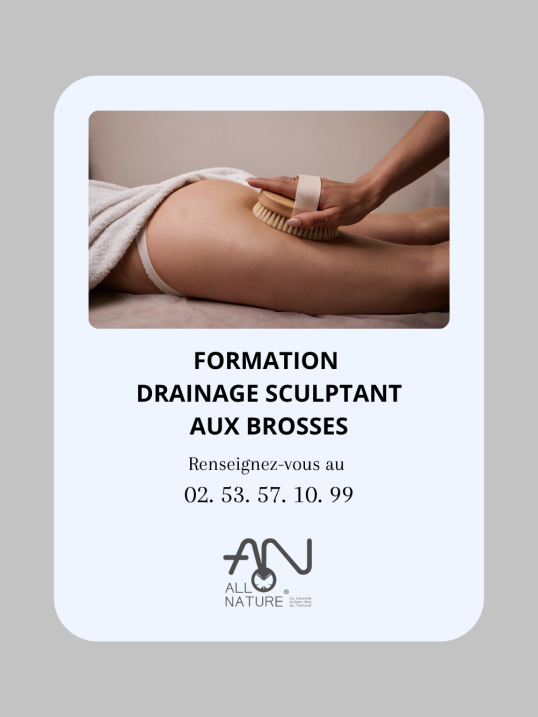 Formation Drainage sculptant aux brosses