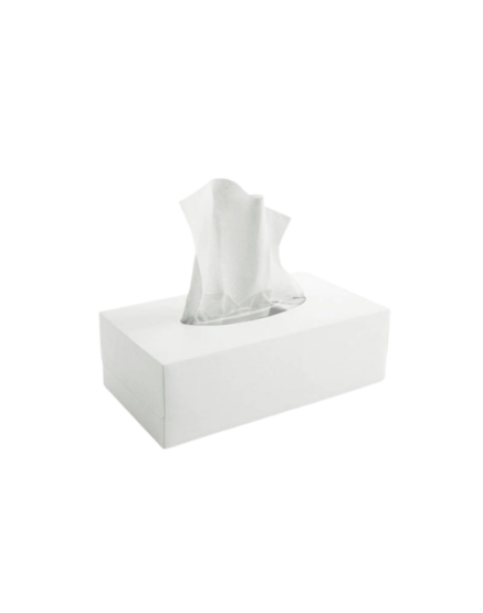 Mouchoirs blancs
