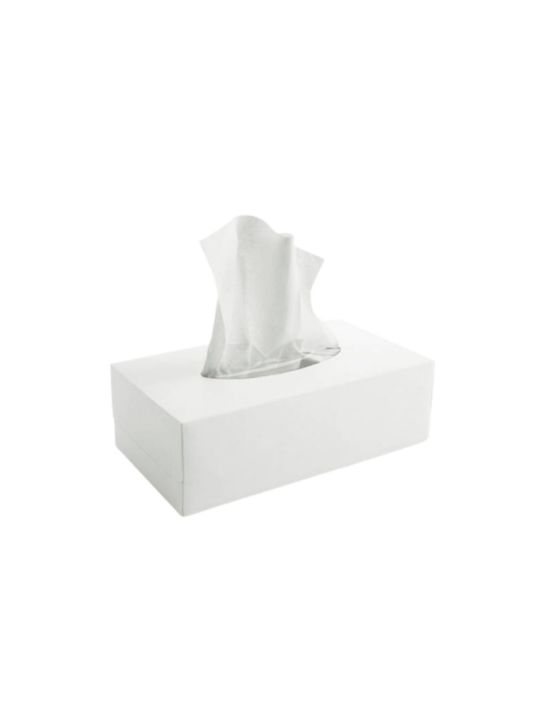 Mouchoirs blancs