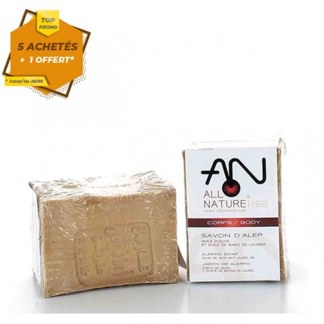 Savon d'alep pavé